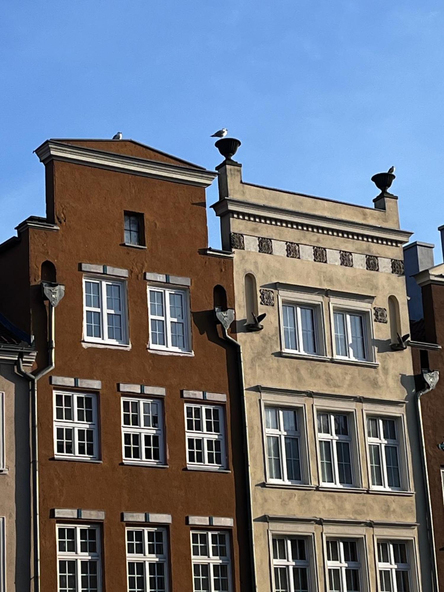 Grand Apartment - Old Town & City Center Гданьск Экстерьер фото